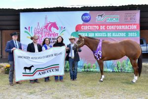 Resultados del Circuito 2026